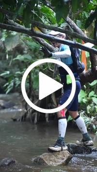 BIB:  <button type="button" onclick="openModal(27824731)" class="btn btn-primary btn-sm float-right" data-toggle="modal" data-target=".modal-high-quality">
                <i class="fa fa-download"></i> Download
                </button>